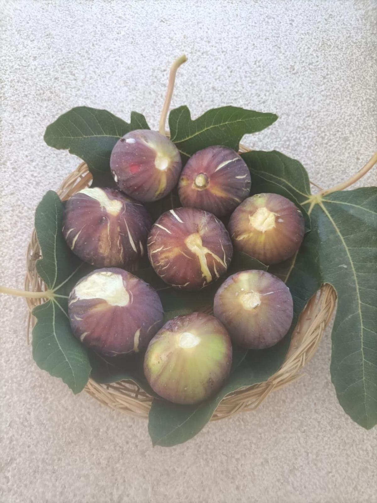 Masseria Ella Pulsano Luaran gambar